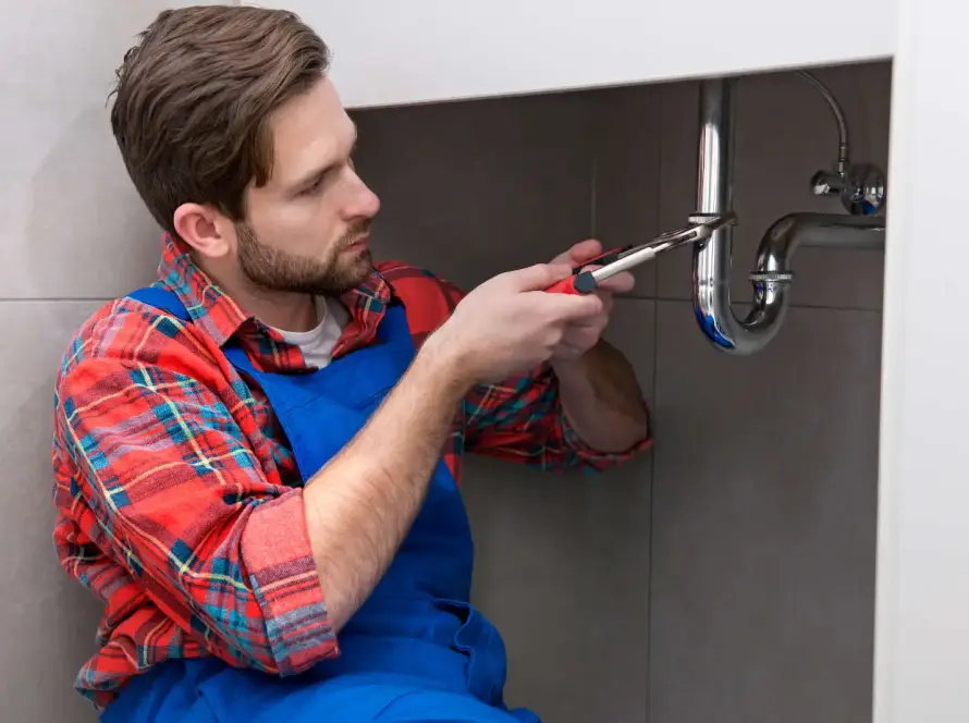 Elbe-Dienst Umzug Wir packen das!